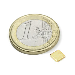 Blokmagneet 5 x 5 x 1 mm