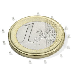 Schijfmagneet Ø 1 mm, hoogte 1 mm