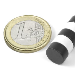Schijfmagneet Ø 10 mm, hoogte 5 mm