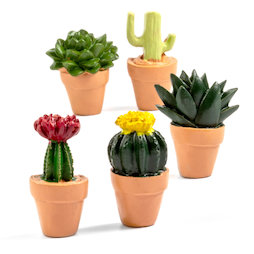 LIV-131, Cactus, decomagneten in cactus-vorm, set van 5