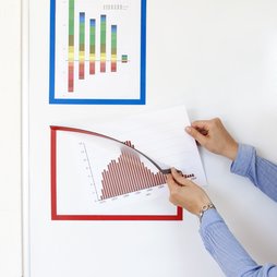 QMS-A4, Magneetkader A4, om aanwijzingen op te hangen, voor whiteboards, kasten enz.