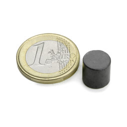 FE-S-10-10, Schijfmagneet Ø 10 mm, hoogte 10 mm, ferriet, Y35, zonder coating