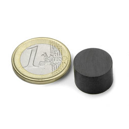 Schijfmagneet Ø 15 mm, hoogte 10 mm